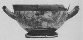 SKYPHOS, FRAGMENT (ATHENIAN, BLACK-FIGURE)