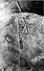 PELIKE (ATHENIAN, BLACK-FIGURE)