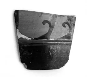 AMPHORA, BELLY, FRAGMENT (ATHENIAN, BLACK-FIGURE)