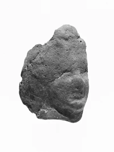 Female Head