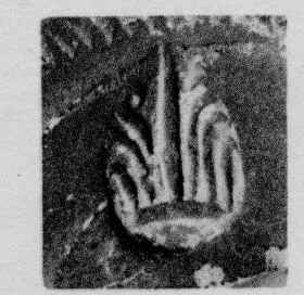 CUP, STEMLESS, FRAGMENT (SOUTH ITALIAN, CAMPANIAN, RELIEF)