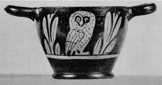 SKYPHOS (ATHENIAN, RED-FIGURE)