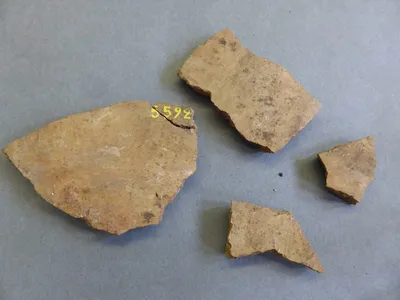 vase ; fragment
