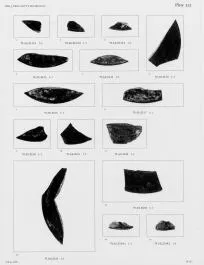 FRAGMENTS (ETRUSCAN, BUCCHERO)