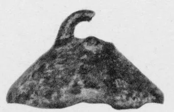 LID (VILLA NOVA)
