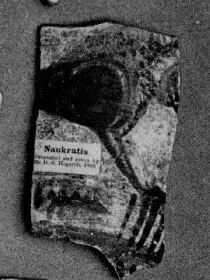 CHALICE, FRAGMENT (EAST GREEK, NAUCRATITE, OUTLINE)