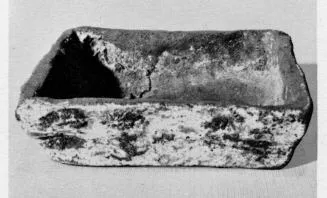 DISH (SOUTH ITALIAN)