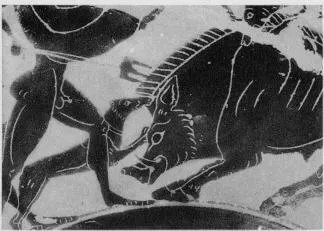 CUP, SIANA (ATHENIAN, BLACK-FIGURE)