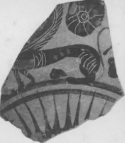 LEKANIS, FRAGMENT (ATHENIAN, BLACK-FIGURE)