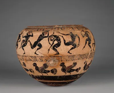 "Campana" Group Dinos