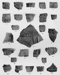 VARIOUS (VUCEDOL)