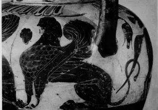AMPHORA, NECK (CHALCIDIAN, BLACK-FIGURE)