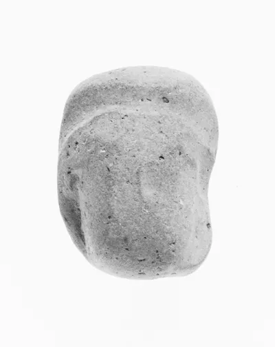 Female Head