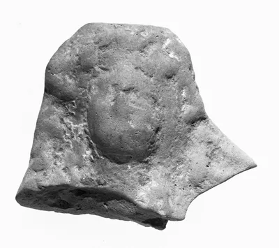 Female Head