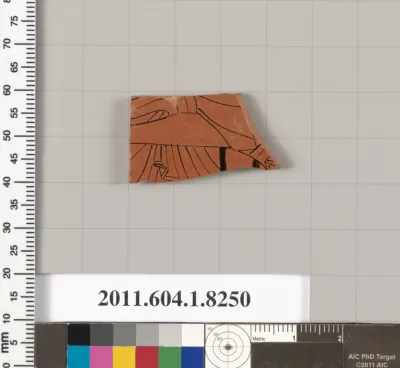 Terracotta fragment of a kylix (drinking cup)