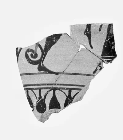Attic Black-Figure Amphora Fragment
