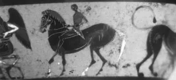 AMPHORA, NECK (ATHENIAN, BLACK-FIGURE)