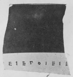 CUP, LITTLE MASTER BAND, FRAGMENT (ATHENIAN, BLACK-FIGURE)