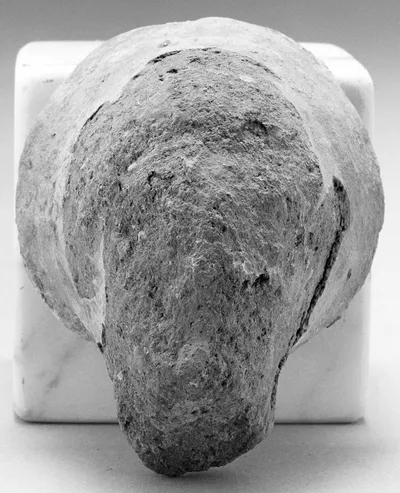 Female Head