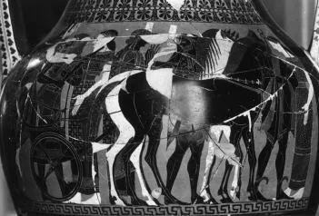 AMPHORA, BELLY, TYPE A (ATHENIAN, BLACK-FIGURE)