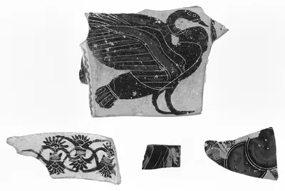 Attic Black-Figure Pot Fragment
