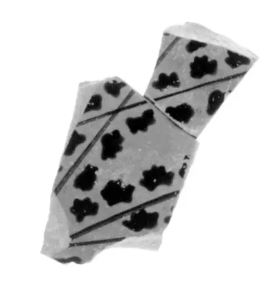 Attic Black-Figure Eye Cup Fragment