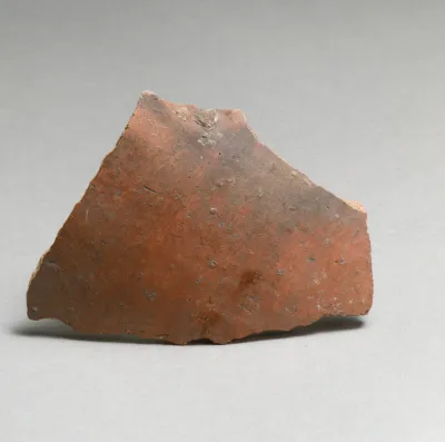 Vase fragment