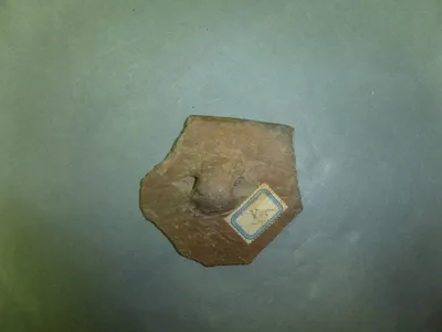 vase ; fragment