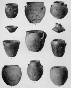 VARIOUS (SARVAS)