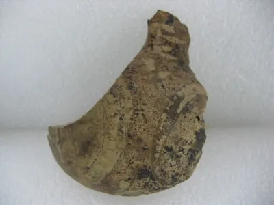 vase fermé