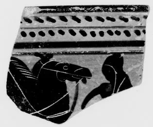 SKYPHOS, FRAGMENT (ATHENIAN, BLACK-FIGURE)