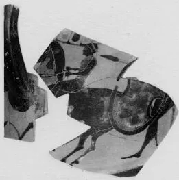 AMPHORA, NECK, FRAGMENTS (ATHENIAN, BLACK-FIGURE)