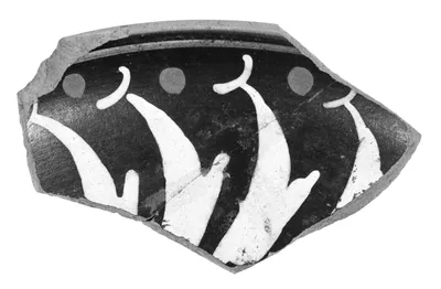 Attic Black-Figure Vase Fragment