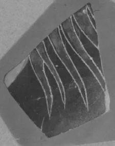OLPE (?), FRAGMENT (ATHENIAN, BLACK-FIGURE)