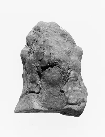 Female Head