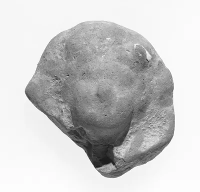 Female Head