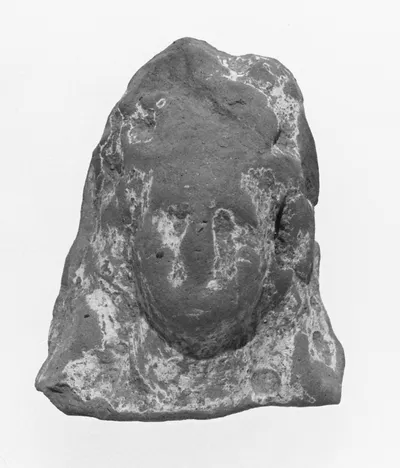 Female Head
