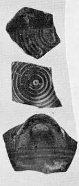 FRAGMENTS (PROTOGEOMETRIC)