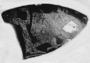 CUP, FRAGMENT (ATHENIAN, RED-FIGURE)