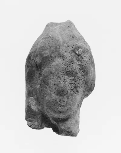 Female Head
