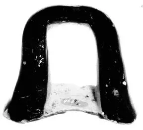 CUP, SIANA, FRAGMENT (ATHENIAN, BLACK-FIGURE)