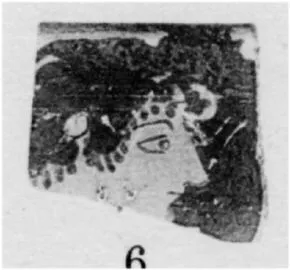 SKYPHOS, FRAGMENT (ATHENIAN, RED-FIGURE)