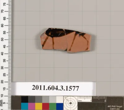 Terracotta fragment of a kylix: Band cup (drinking cup)