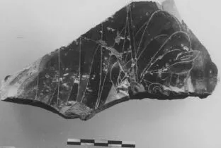 AMPHORA, BELLY, FRAGMENT (ATHENIAN, BLACK-FIGURE)