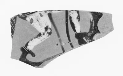Attic Black-Figure Kylix Fragment
