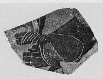 FRAGMENT (ATHENIAN, BLACK-FIGURE)