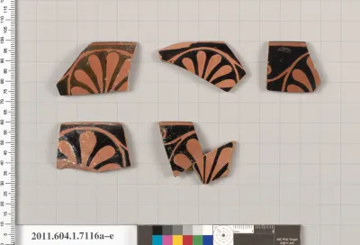 Terracotta fragments of kylikes (drinking cups)