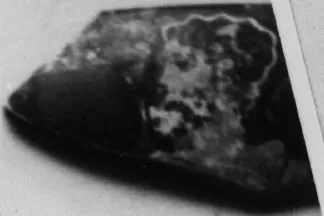 CUP, FRAGMENT (ATHENIAN, RED-FIGURE)