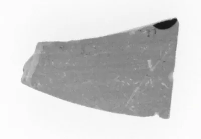 Attic Black-Figure Neck Amphora Fragment