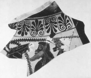 AMPHORA, BELLY, FRAGMENT (ATHENIAN, BLACK-FIGURE)